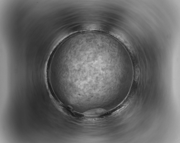 X0000093731039200710161113