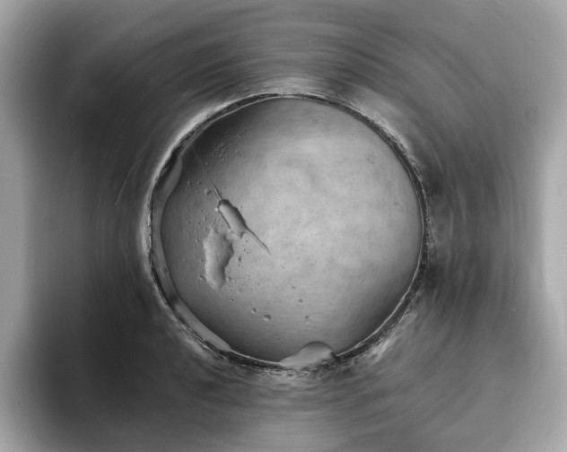 X0000093731040200710161113