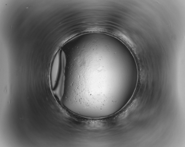 X0000093731041200710161113