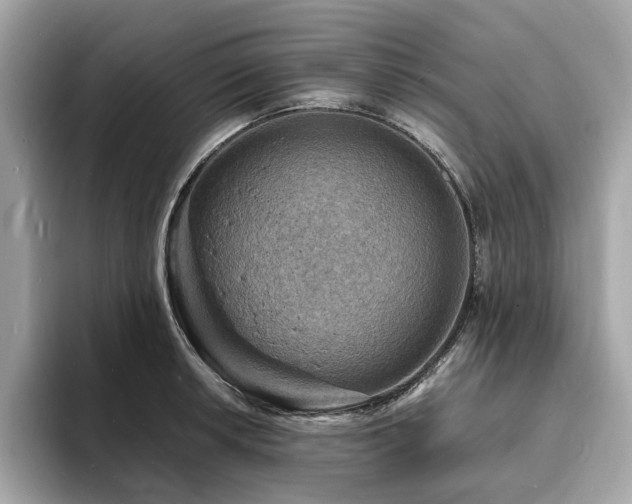 X0000093731042200710161113