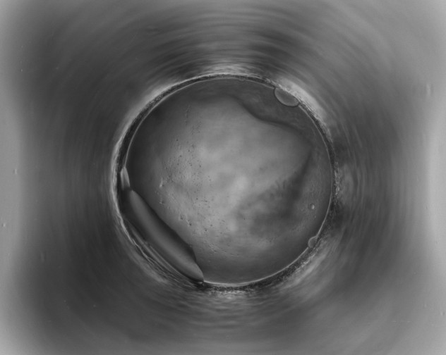 X0000093731043200710161113