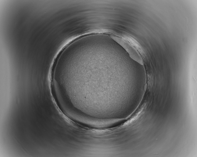 X0000093731046200710161113