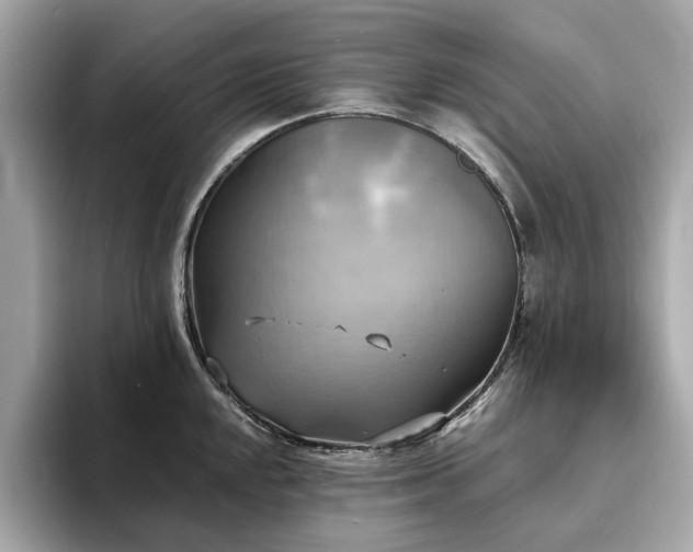 X0000093731048200710161113