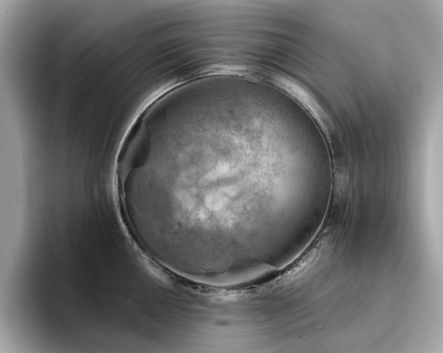 X0000093731050200710161113