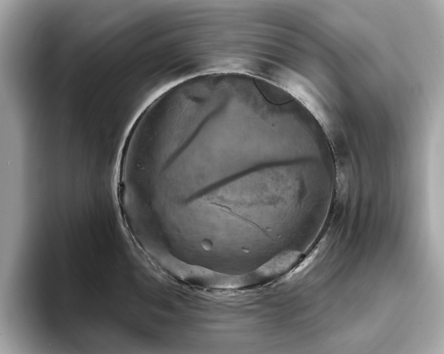 X0000093731052200710161113