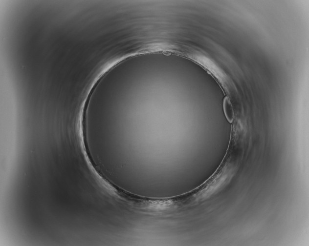 X0000093731055200710161113