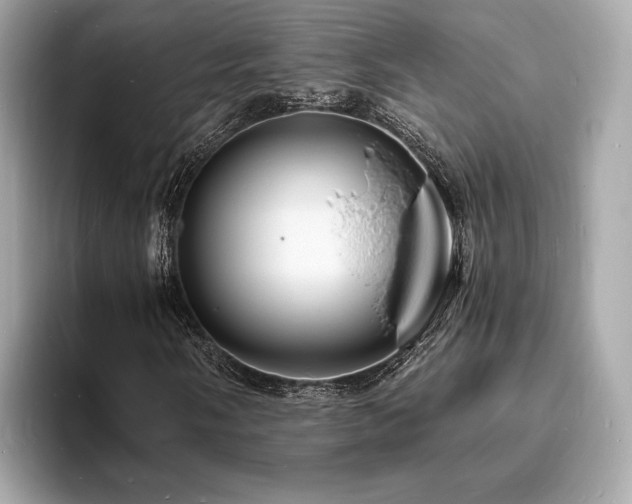 X0000093731058200710161113