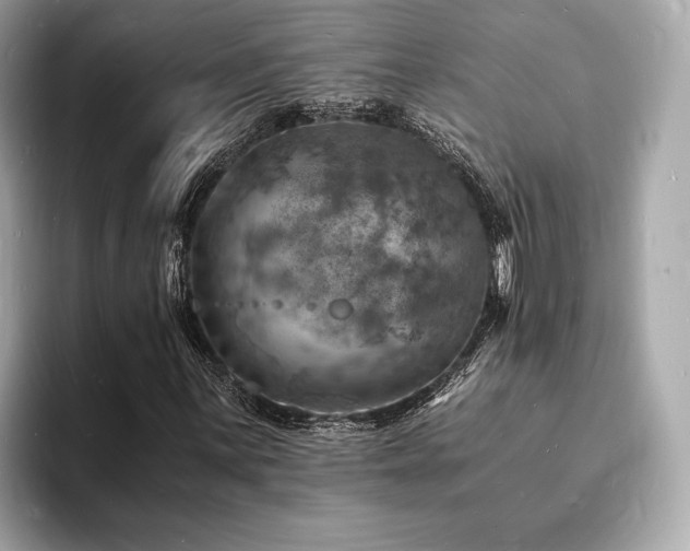 X0000093731059200710161113