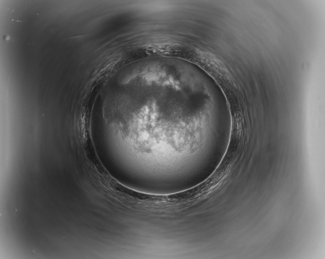 X0000093731060200710161112
