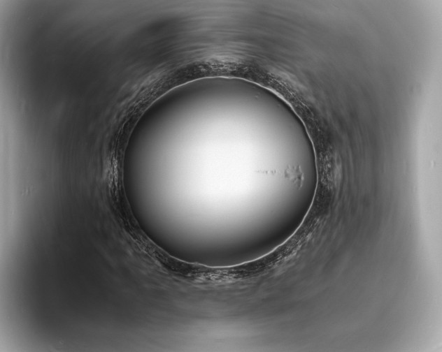 X0000093731061200710161112