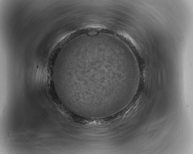 X0000093731064200710161112