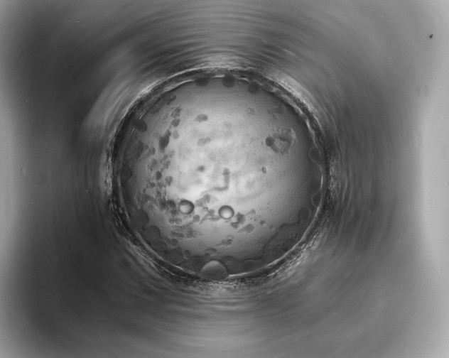 X0000093731067200710161112