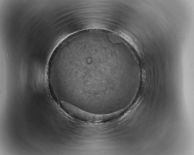 X0000093731068200710161112