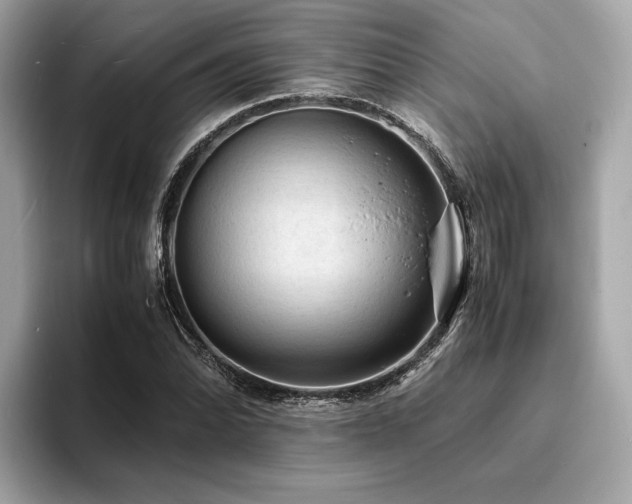 X0000093731070200710161112