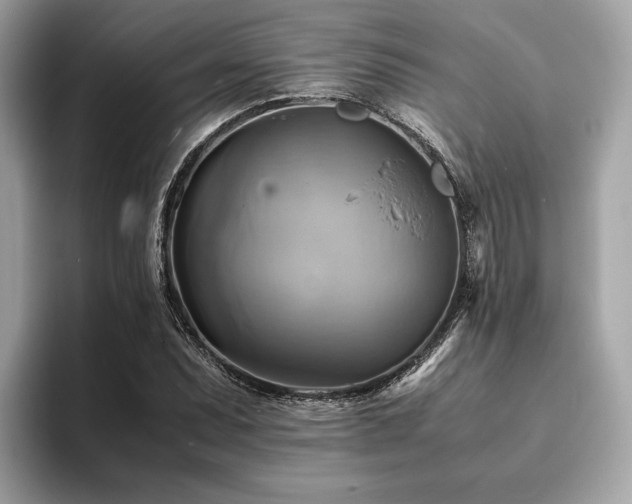 X0000093731071200710161112