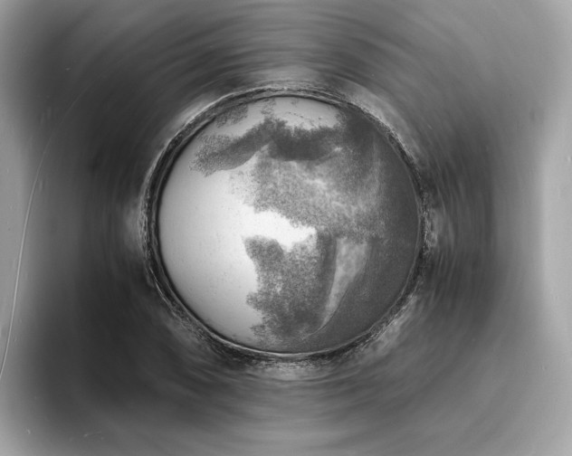 X0000093731074200710161112