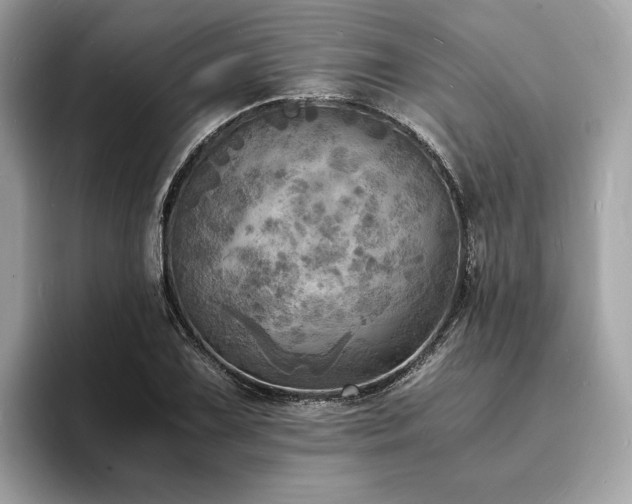 X0000093731075200710161112