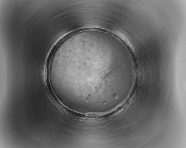 X0000093731076200710161112