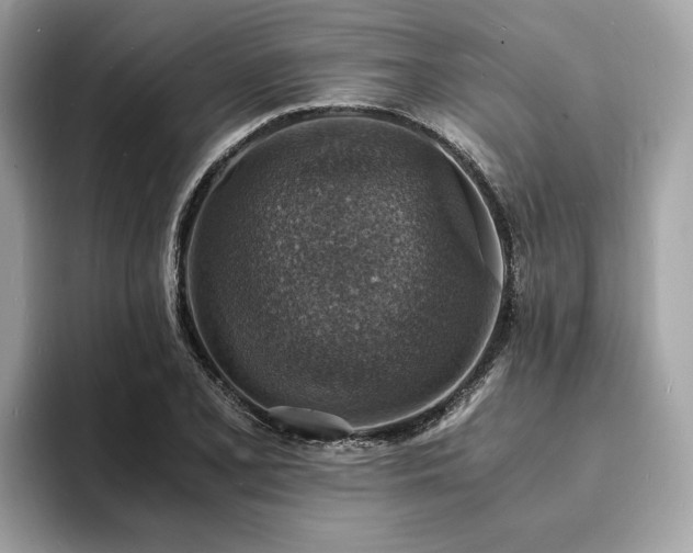 X0000093731077200710161112