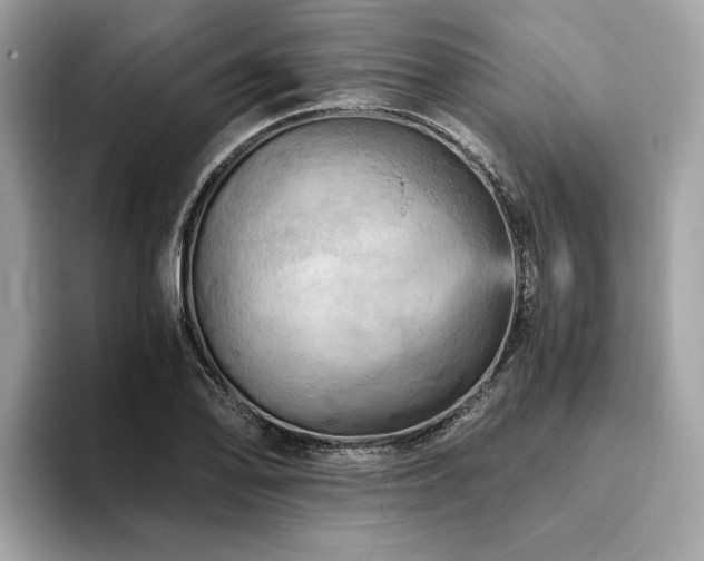 X0000093731078200710161112