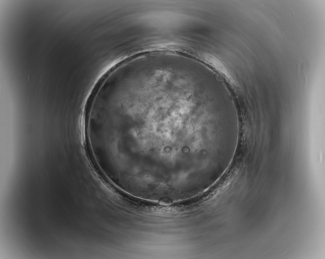 X0000093731079200710161112