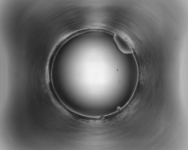 X0000093731080200710161112