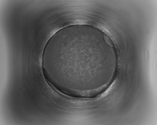 X0000093731081200710161112