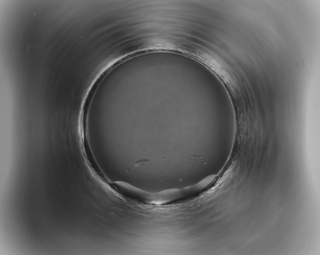 X0000093731084200710161112