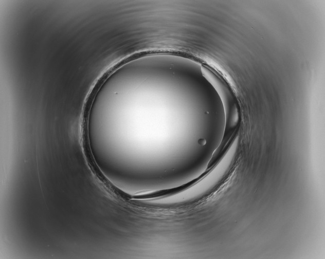 X0000093731085200710161112