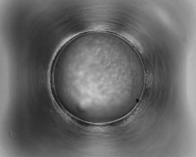 X0000093731086200710161112