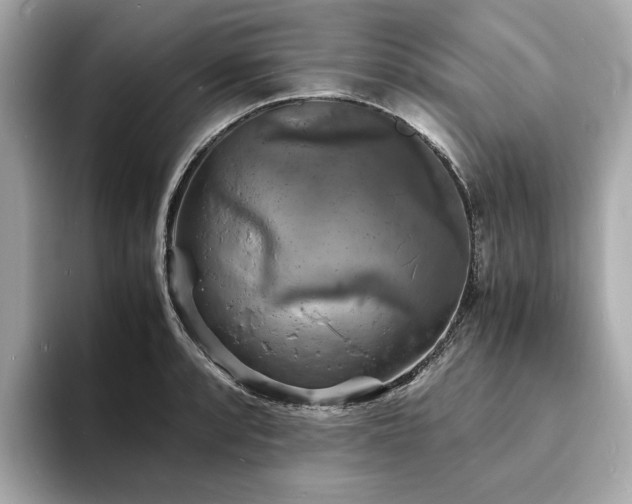 X0000093731088200710161112