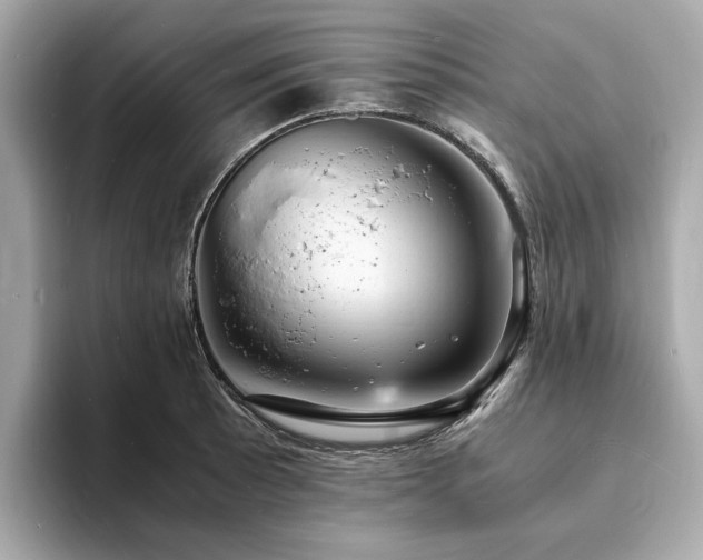 X0000093731089200710161112