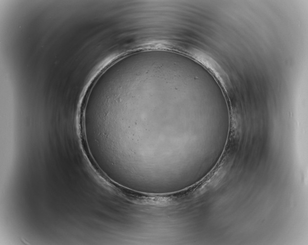 X0000093731090200710161112