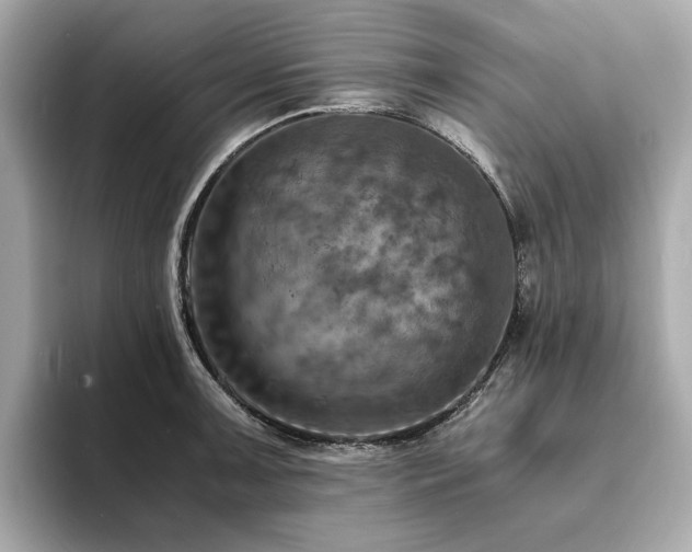 X0000093731091200710161112