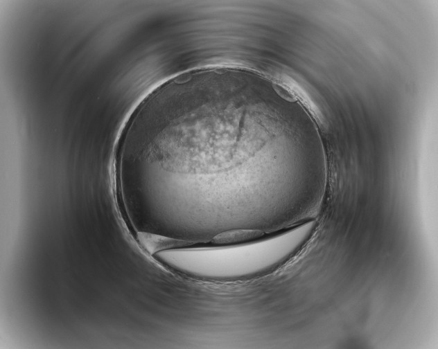 X0000093731092200710161112