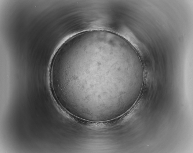X0000093731094200710161112