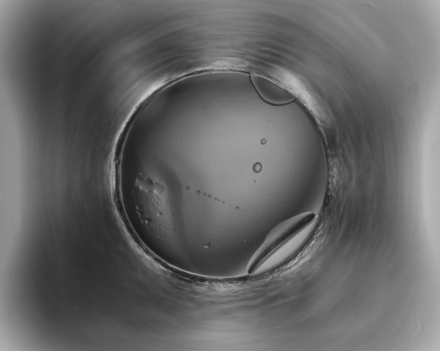 X0000093731095200710161112