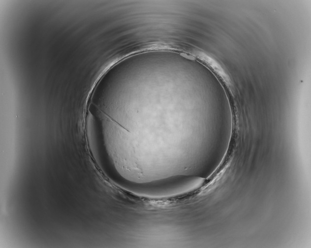 X0000093731097200710161112