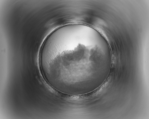 X0000093731098200710161112