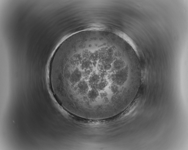 X0000093731099200710161112