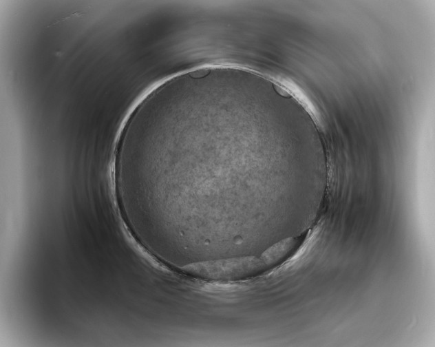 X0000093731100200710161112