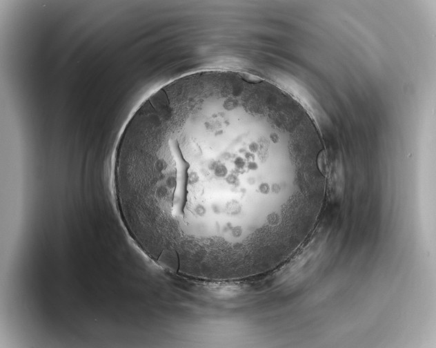 X0000093731103200710161112