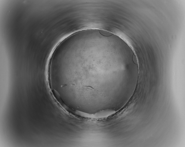X0000093731104200710161112
