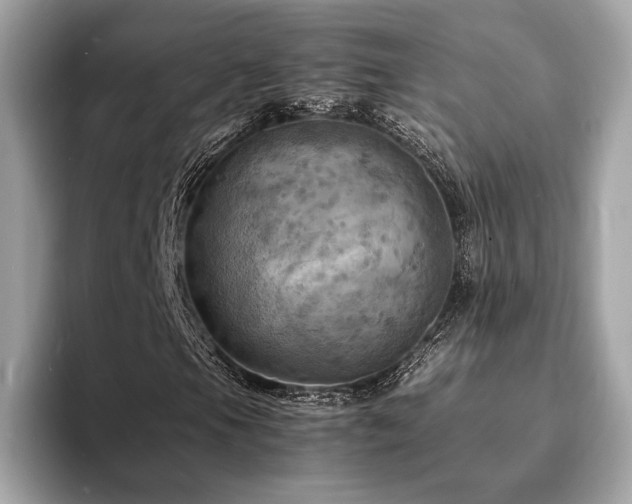 X0000093731105200710161111