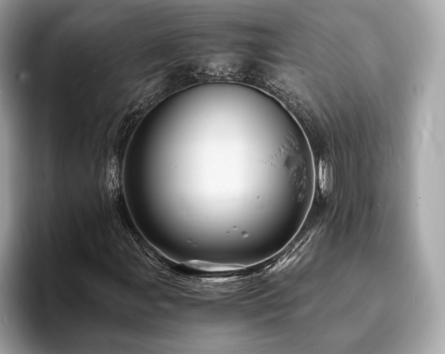 X0000093731107200710161111