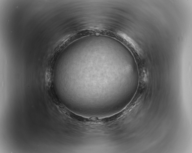 X0000093731110200710161111
