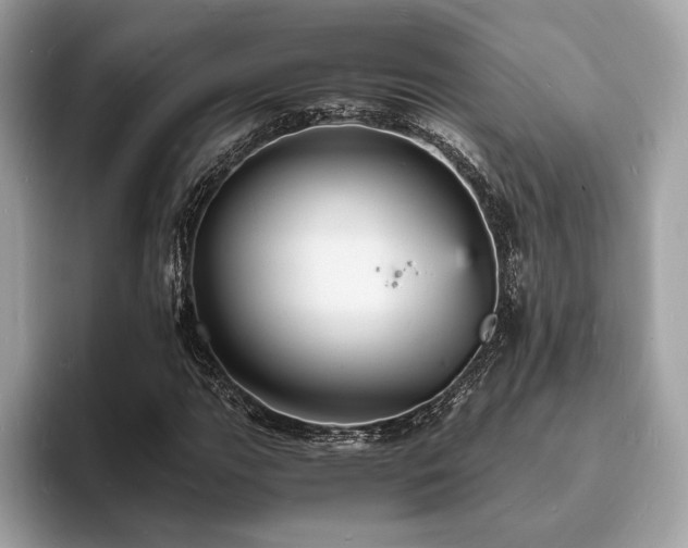 X0000093731111200710161111