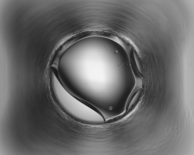 X0000093731114200710161112