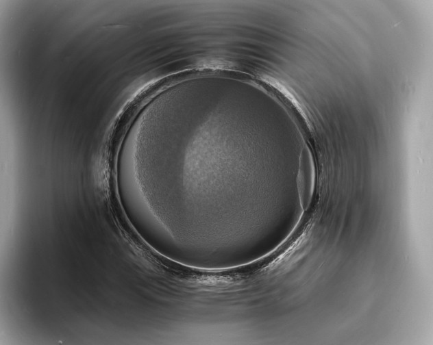 X0000093731115200710161112