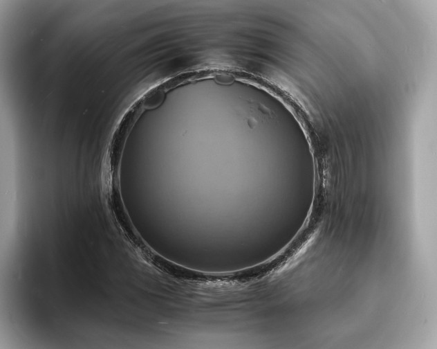 X0000093731117200710161112